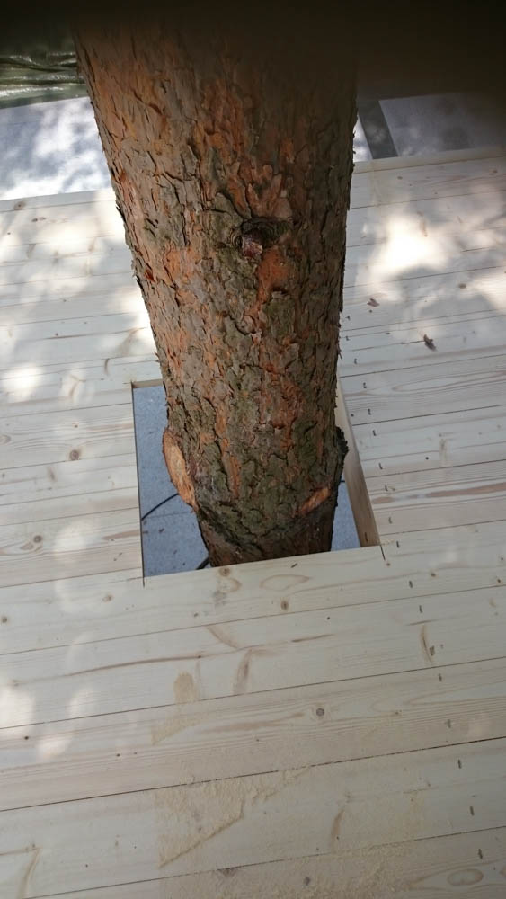 Baumstamm in der Decke